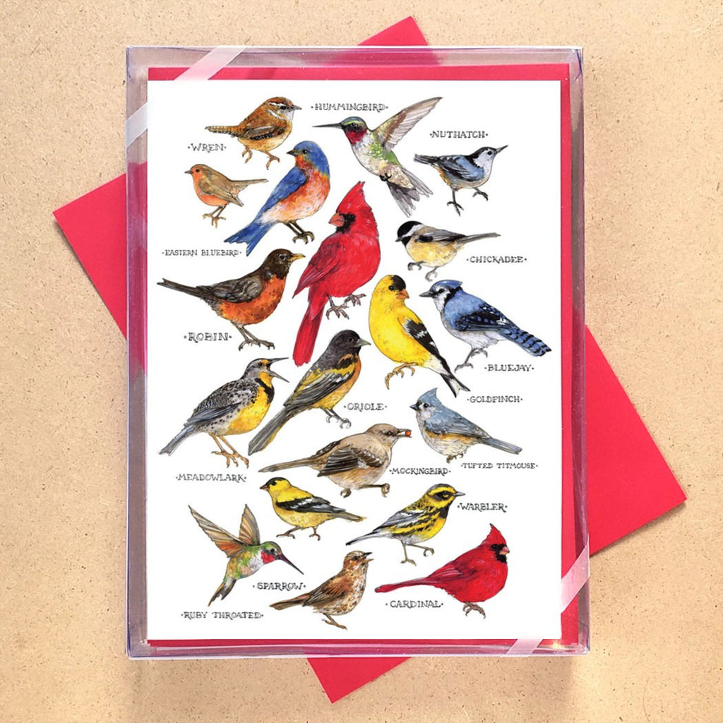 Songbirds Boxed Holiday Cards packaging.