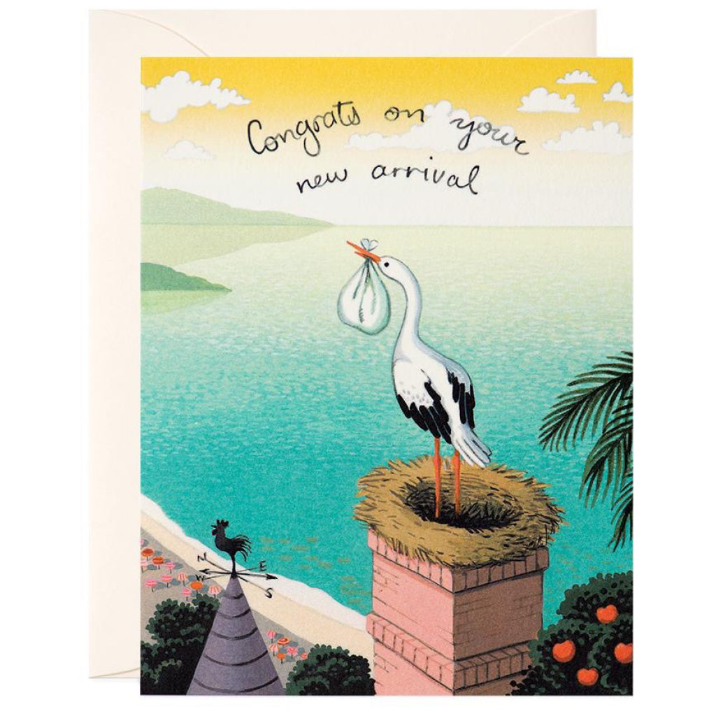 Stork Delivery Greeting Card.