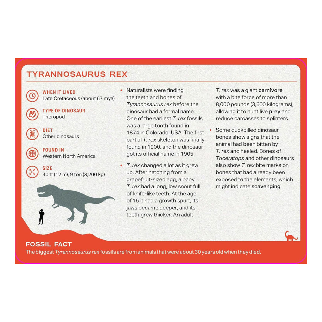 The Dinosaur Deck - sample card back 1.