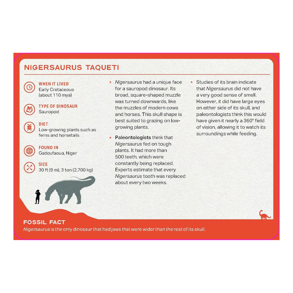 The Dinosaur Deck - sample card back 2.