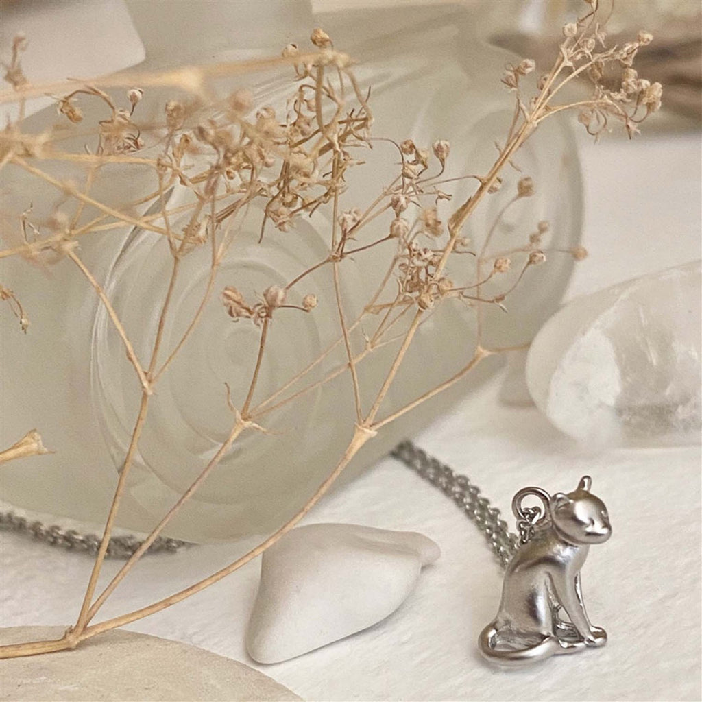The Thinking Cat Charm Necklace Silver.
