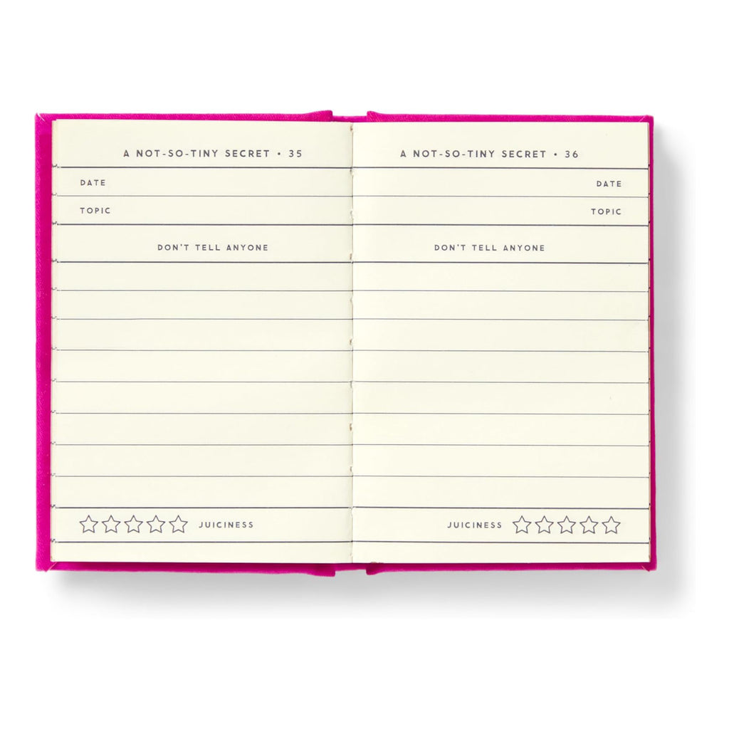 Tiny Diary For Not So Tiny Secrets - open spread.