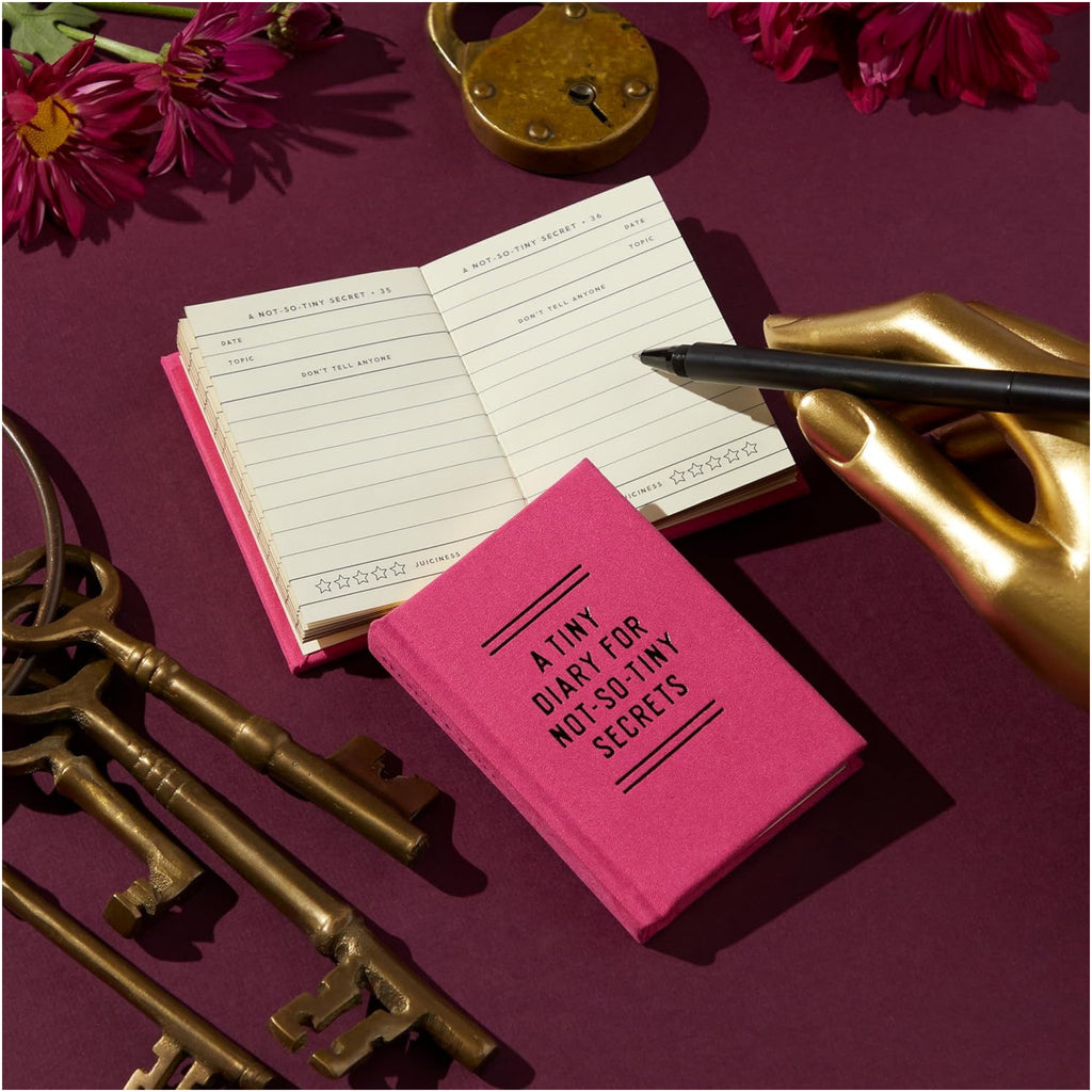 Tiny Diary For Not So Tiny Secrets on table.