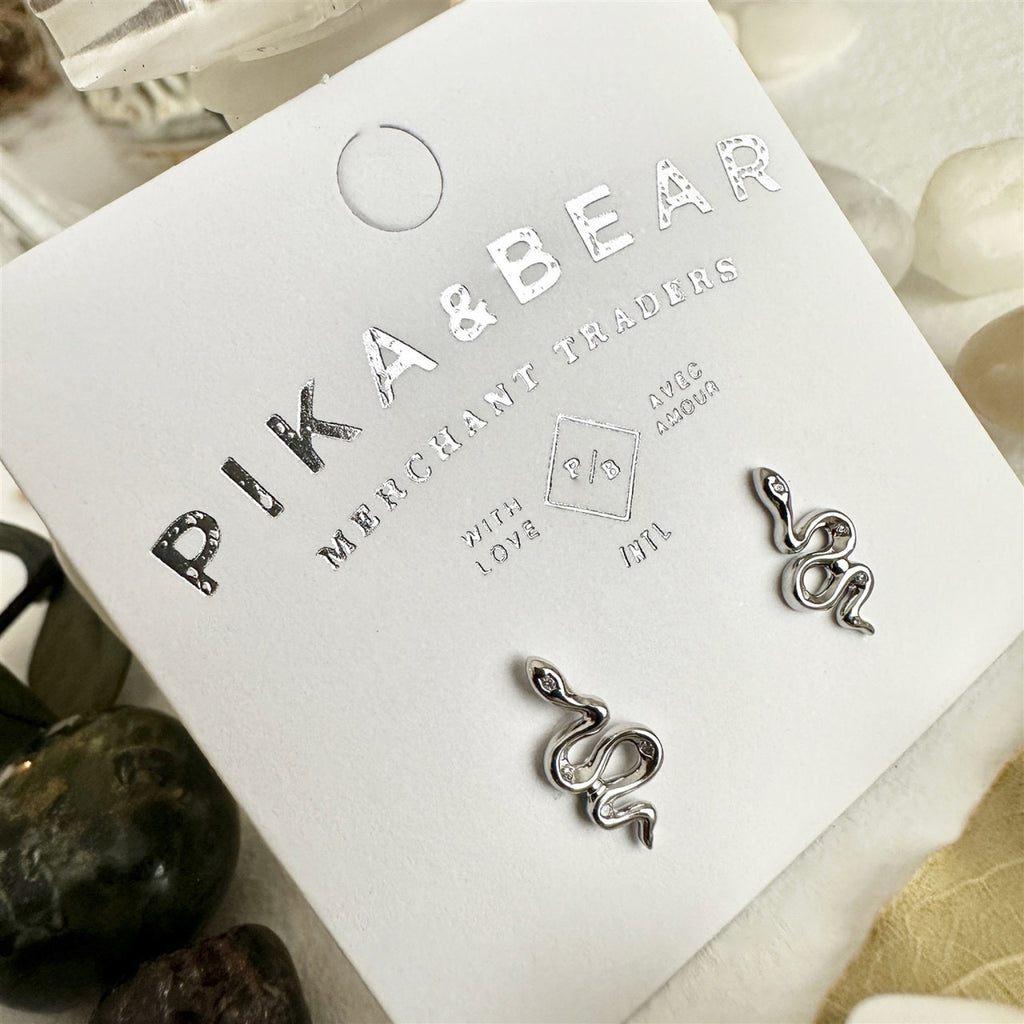 Tiny Rhinestone Snake Stud Earrings Silver packaging.