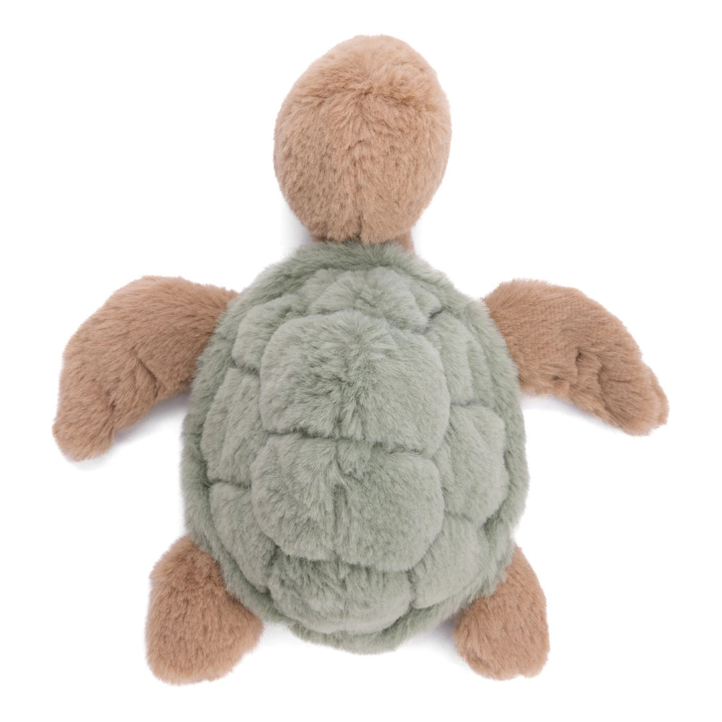 Top of Sandy Turtle.