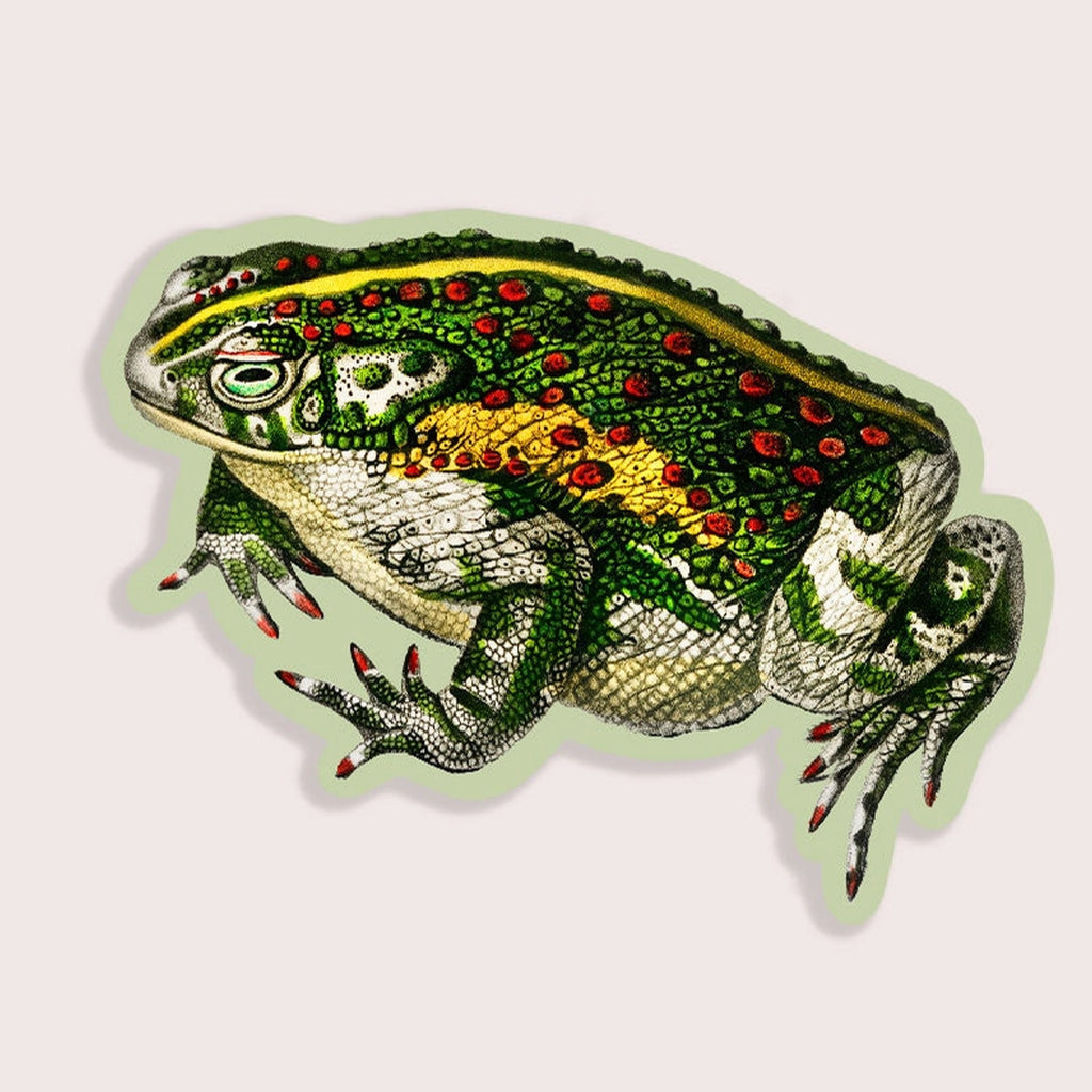 Tricky Toad Mini Sticker.