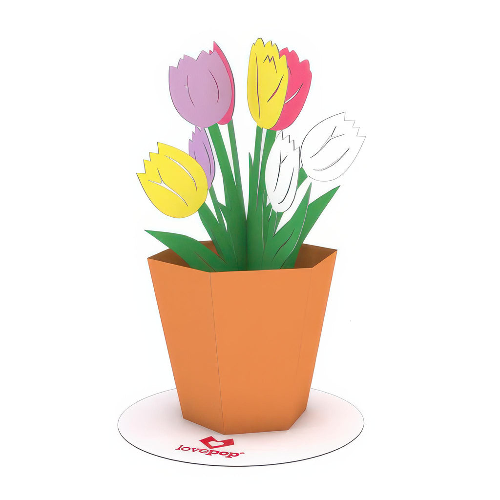 Tulip Stickerpop.