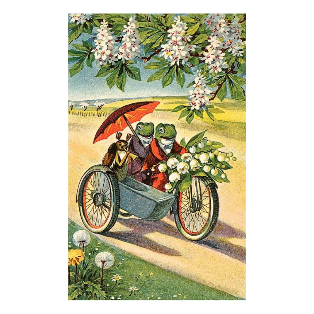  Two Frogs on Motorcycle Vintage Image Postcard.