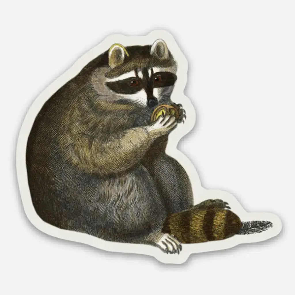 Unbothered Raccoon Small Sticker.