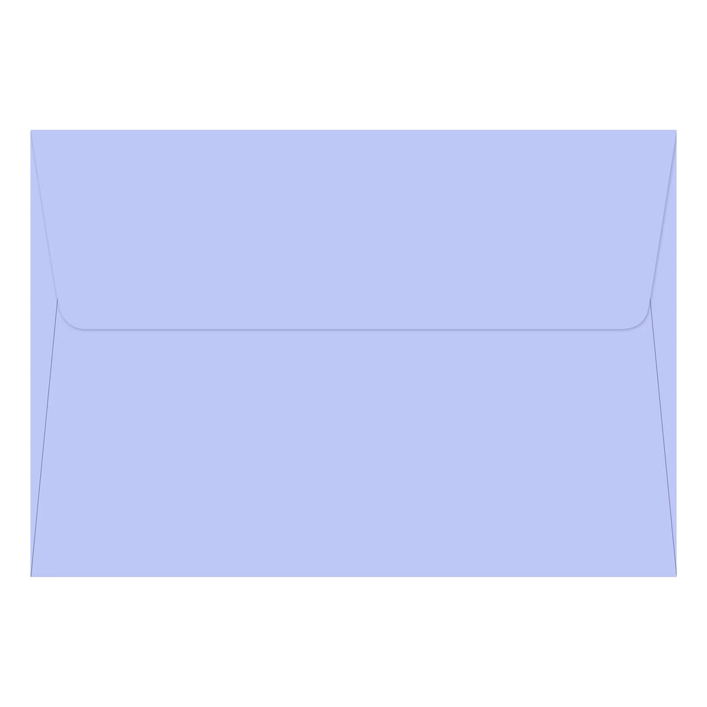 Watercolor Violets Boxed Note Envelope.
