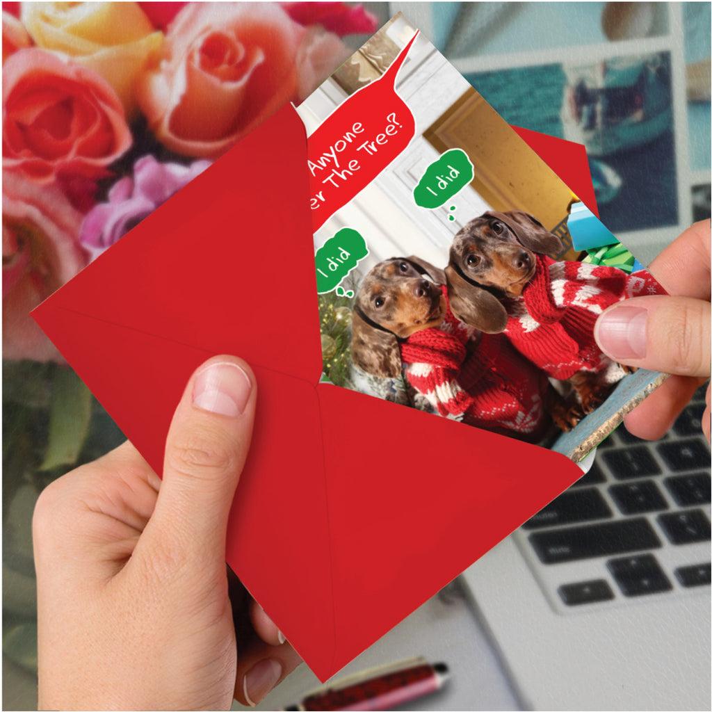 Watering The Tree Christmas Card in hand.