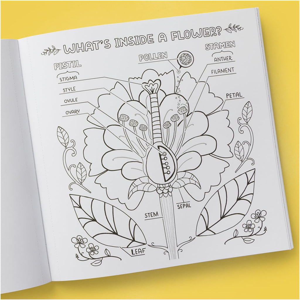 What's Inside A Garden?: Science And Nature Coloring Book - sample page 1.