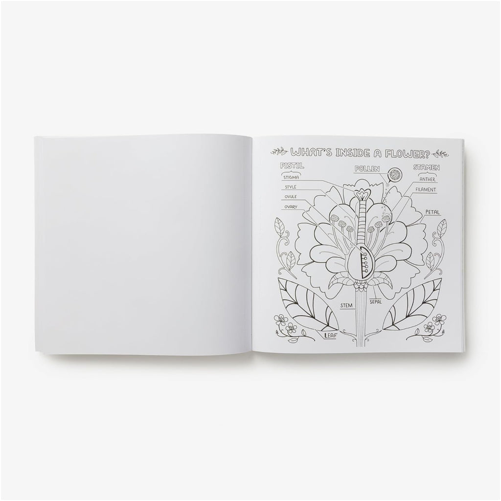 What's Inside A Garden?: Science And Nature Coloring Book - sample spread 2.