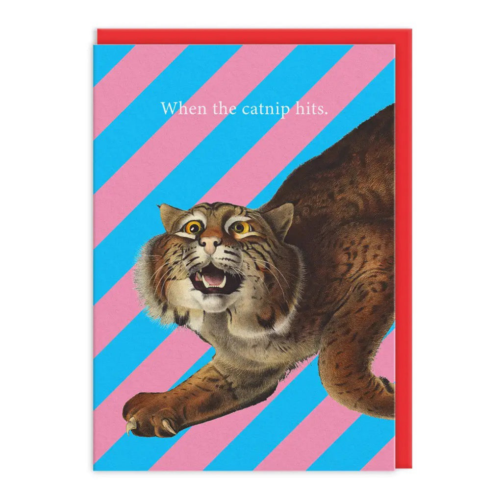 When The Catnip Hits Greeting Card.