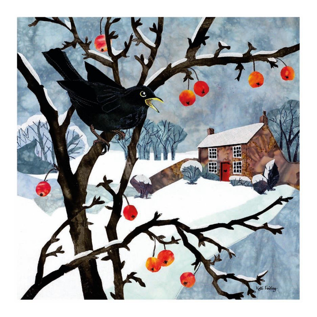 Winter Birds Boxed Christmas Cards 1.