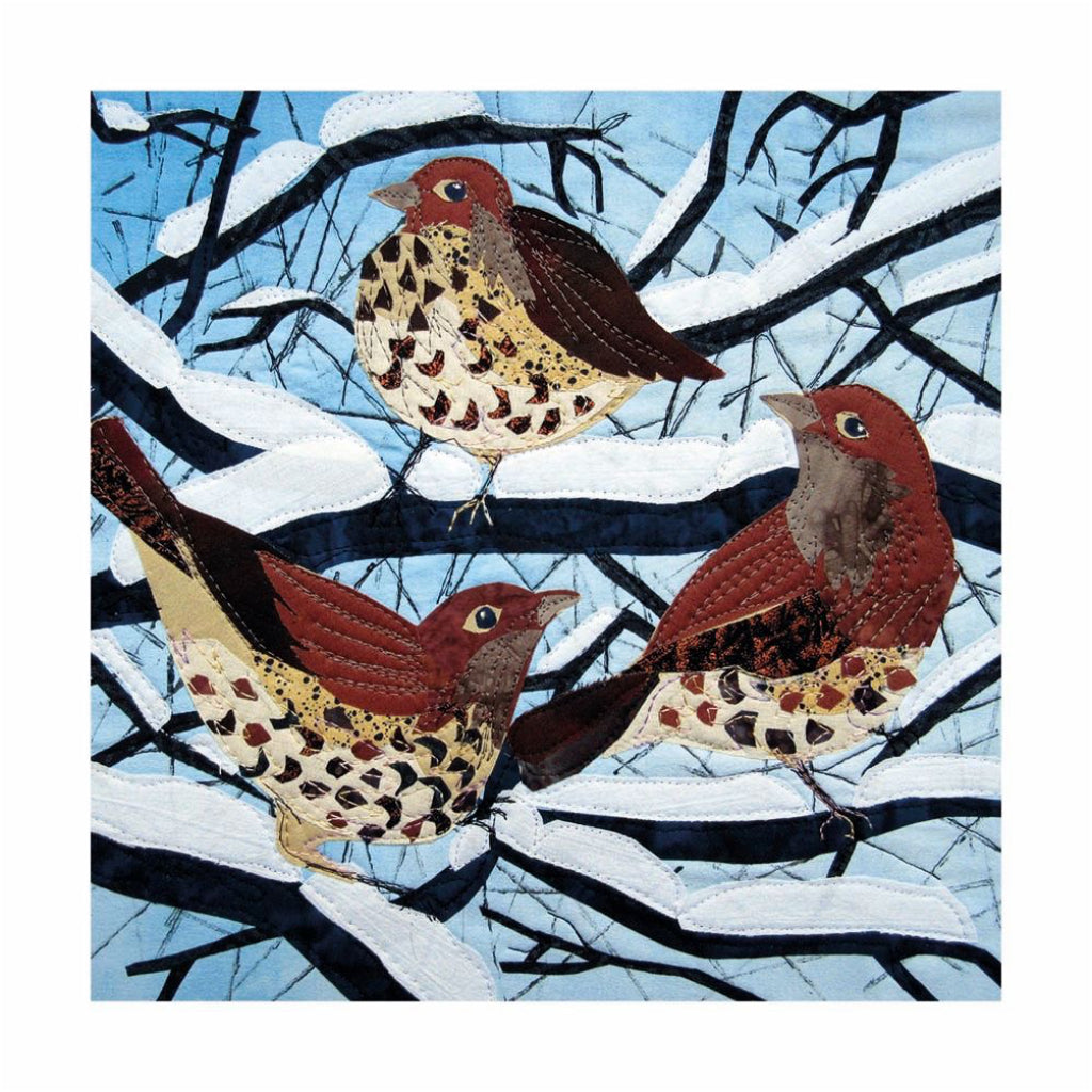 Winter Birds Boxed Christmas Cards 2.