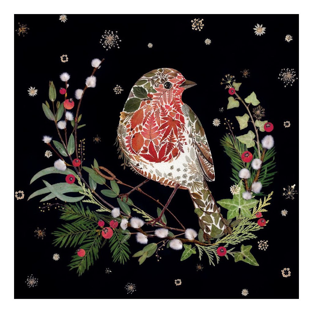 Winter Wild Press Boxed Christmas Cards robin.