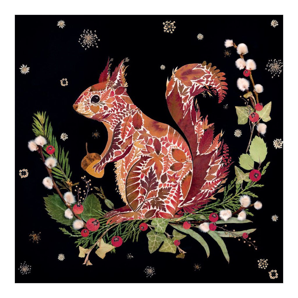 Winter Wild Press Boxed Christmas Cards squirrel.