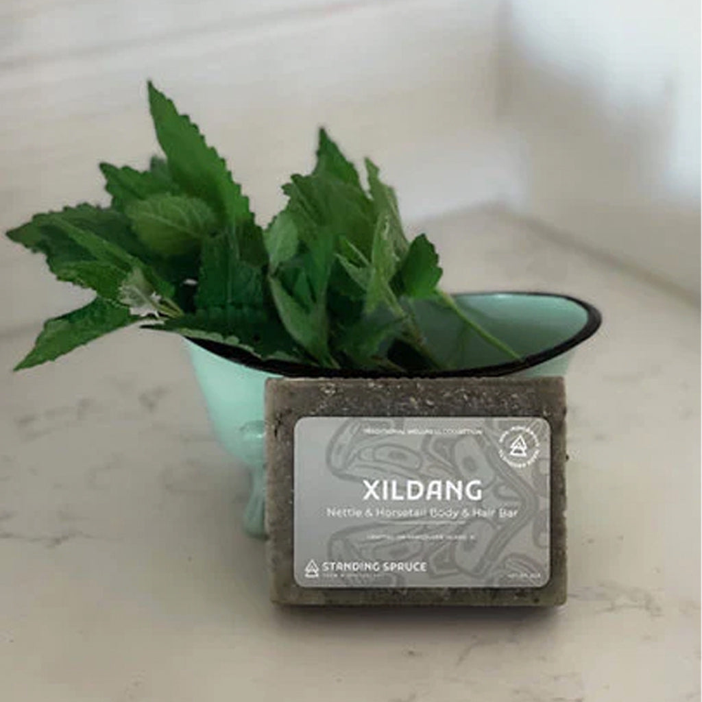 Xil Dang Soap Bar with plant.