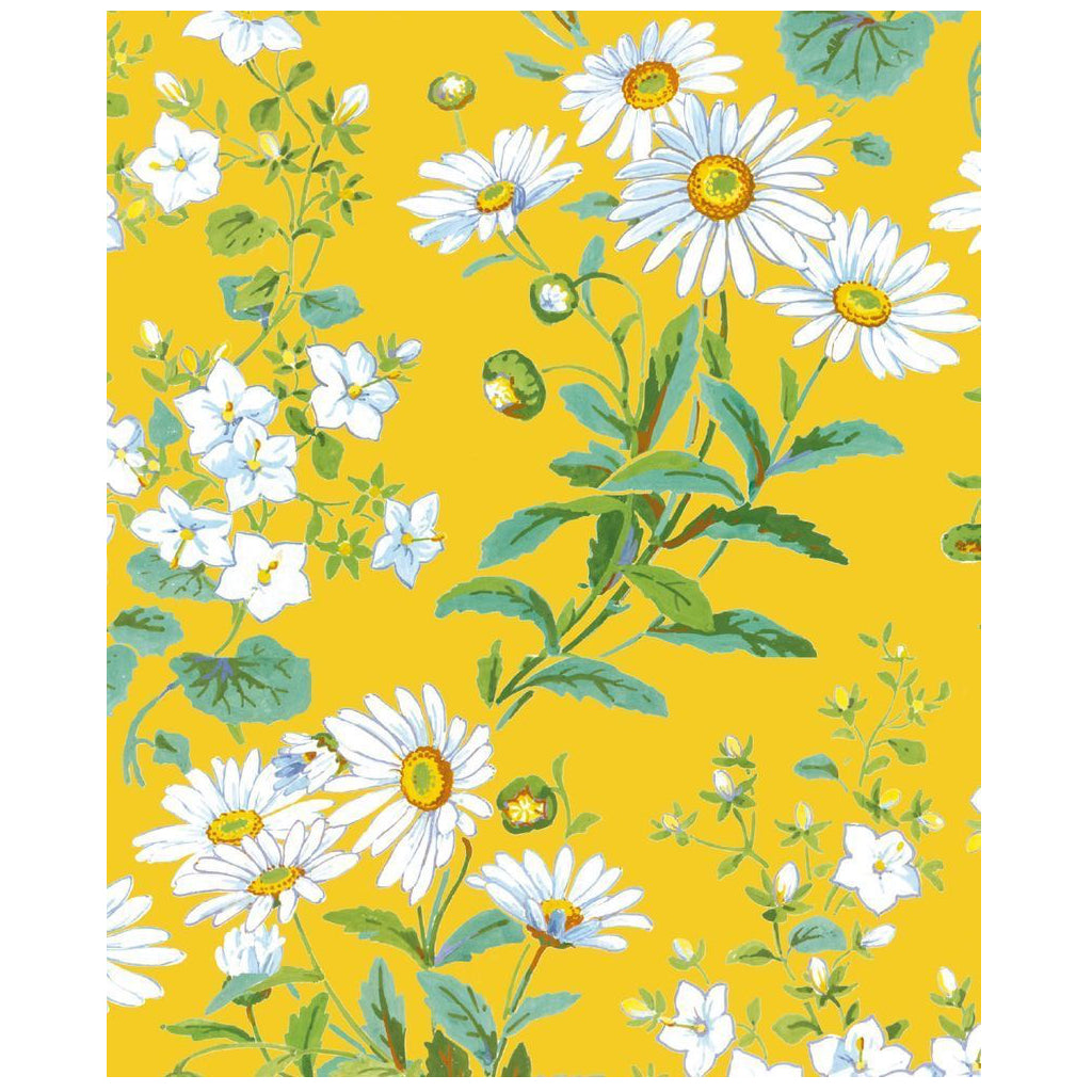 Yellow Daisies Blank Card.