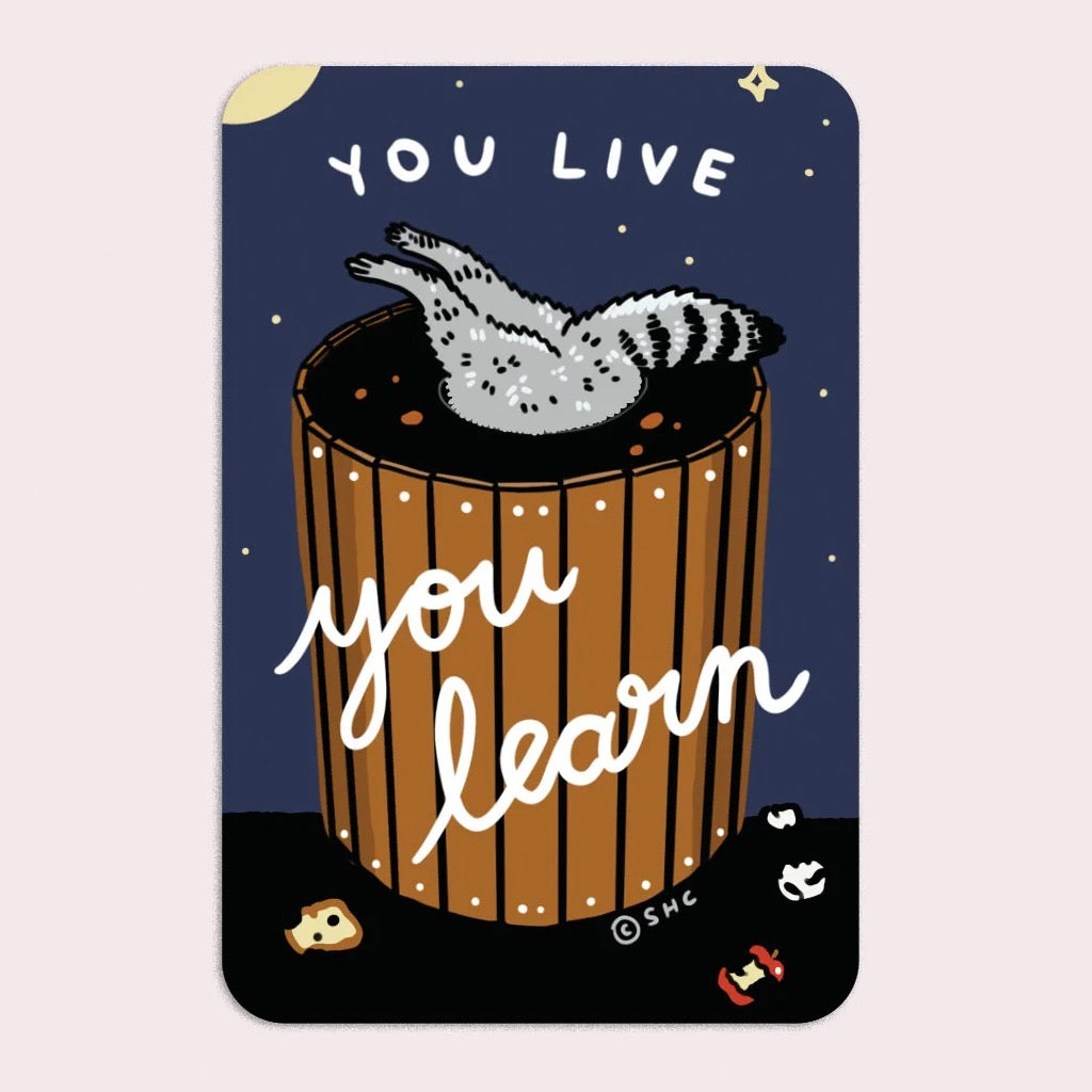 You Live You Learn Vinyl Sticker.