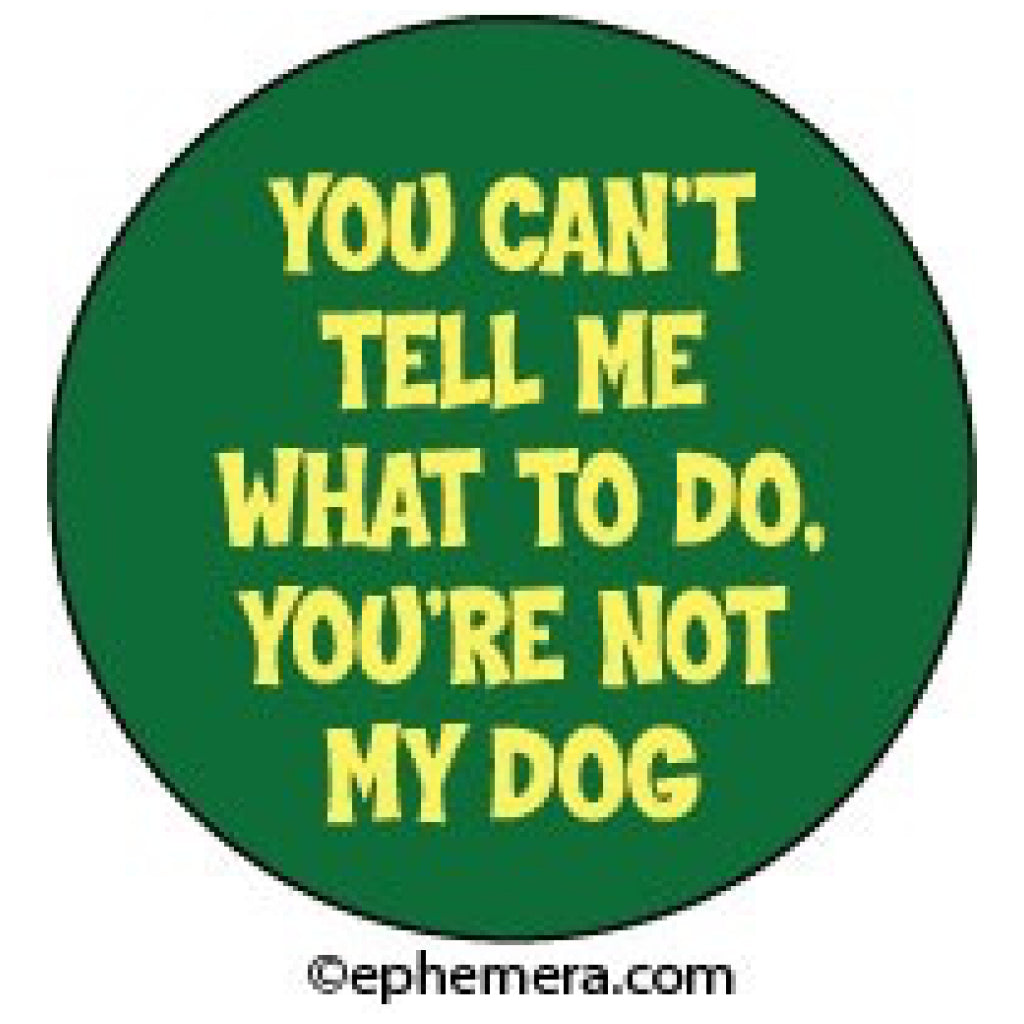 You're Not My Dog Button.