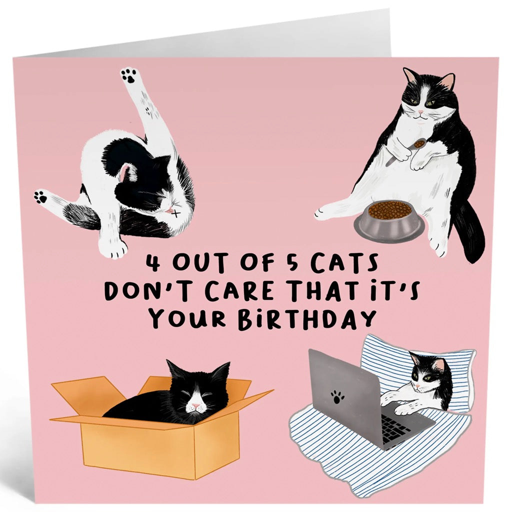 4 Out of 5 Cats Dont Care Birthday Card
