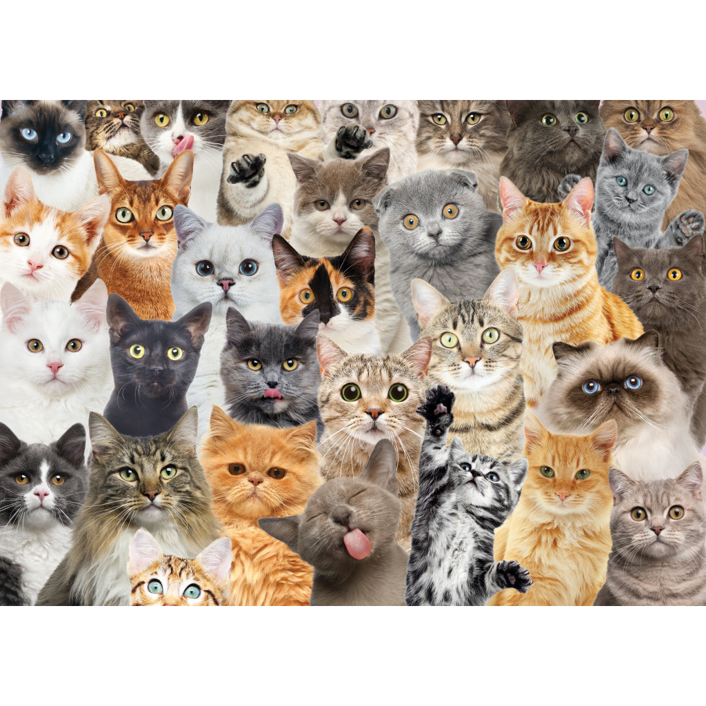 All The Cats 1000 Piece Puzzle