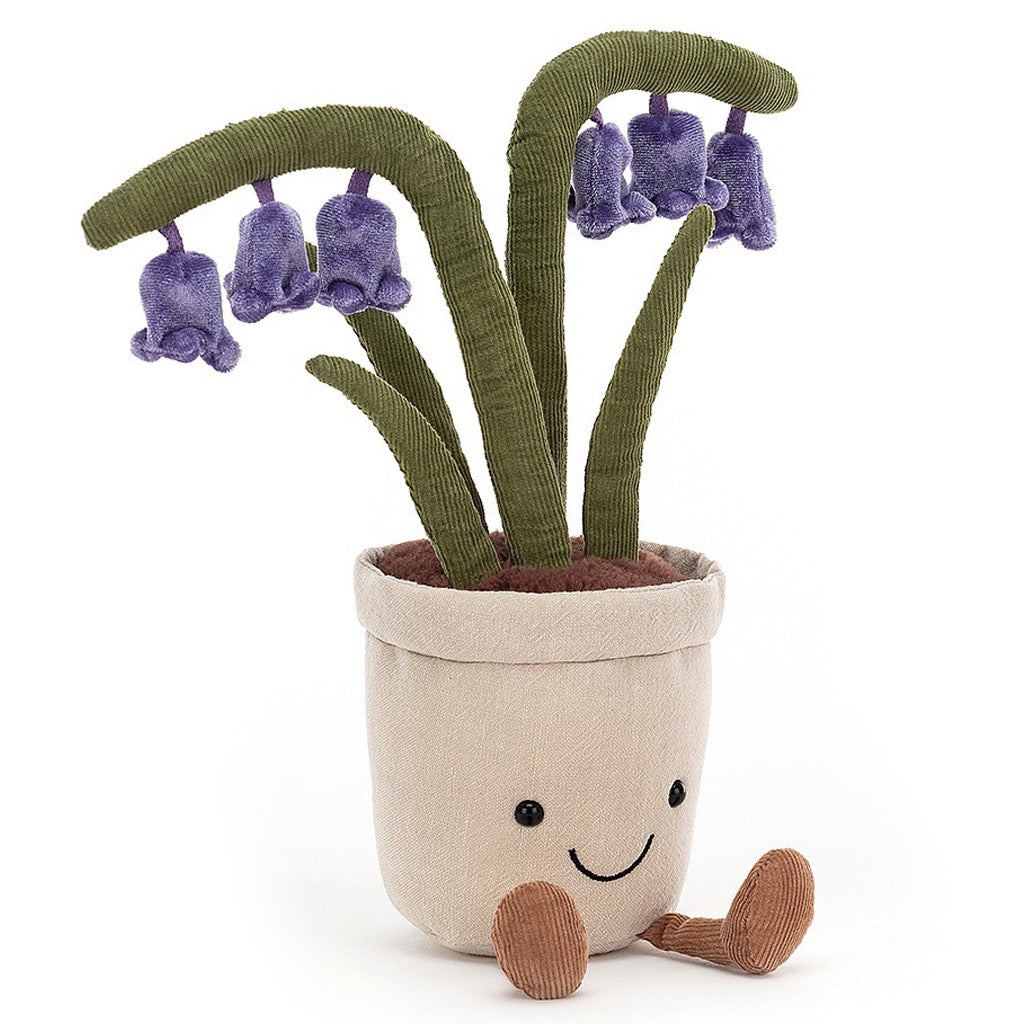 Amuseable Bluebell Plant