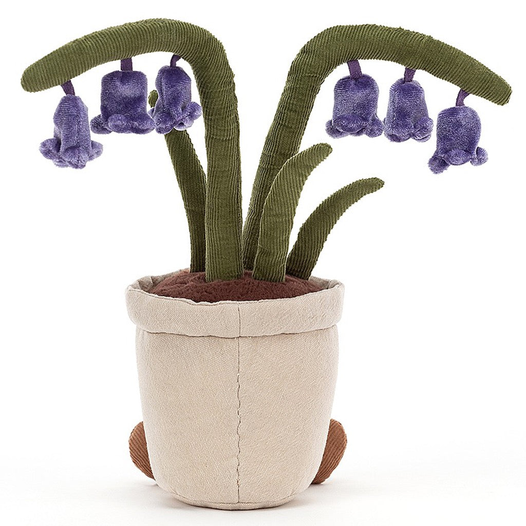 Amuseable Bluebell Plant Back