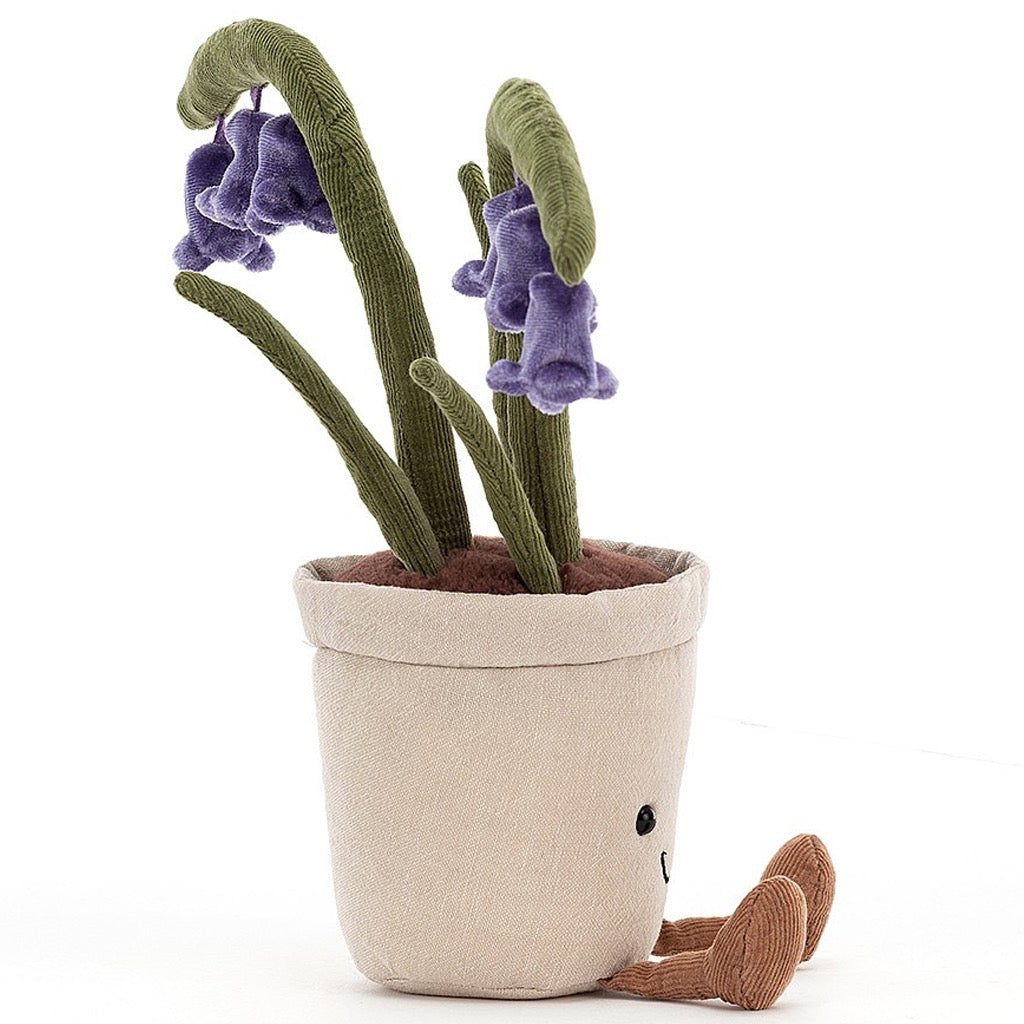 Amuseable Bluebell Plant Side view