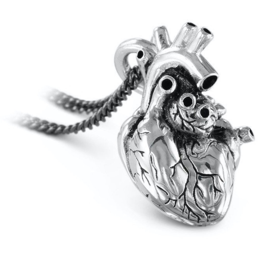 Anatomical Heart Large Silver Necklace Closeup