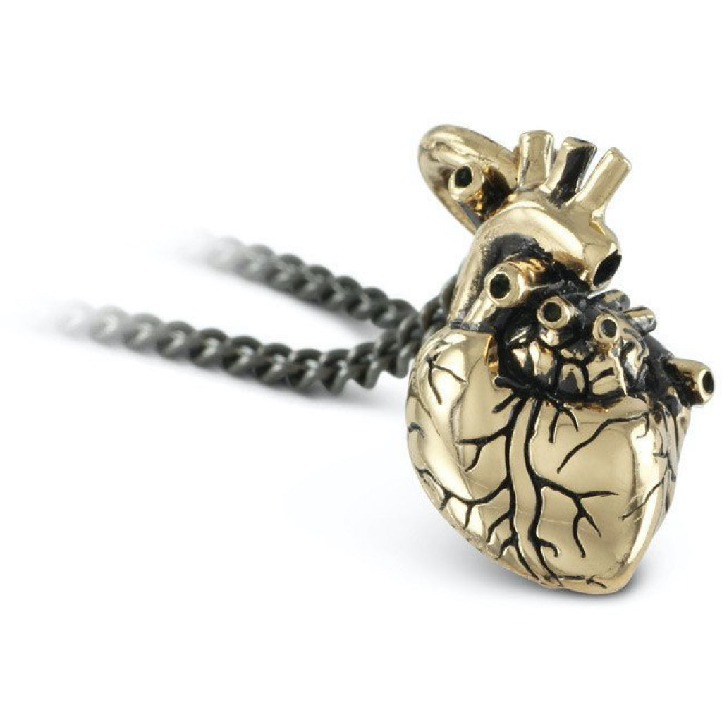 Anatomical Heart Small Bronze Necklace Closeup