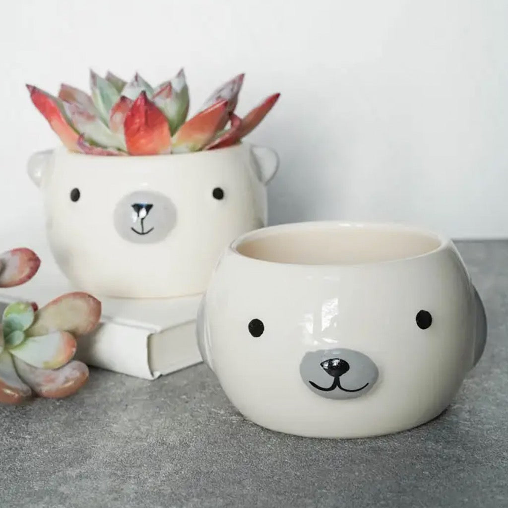 Animal Face Planter Pot on brown table