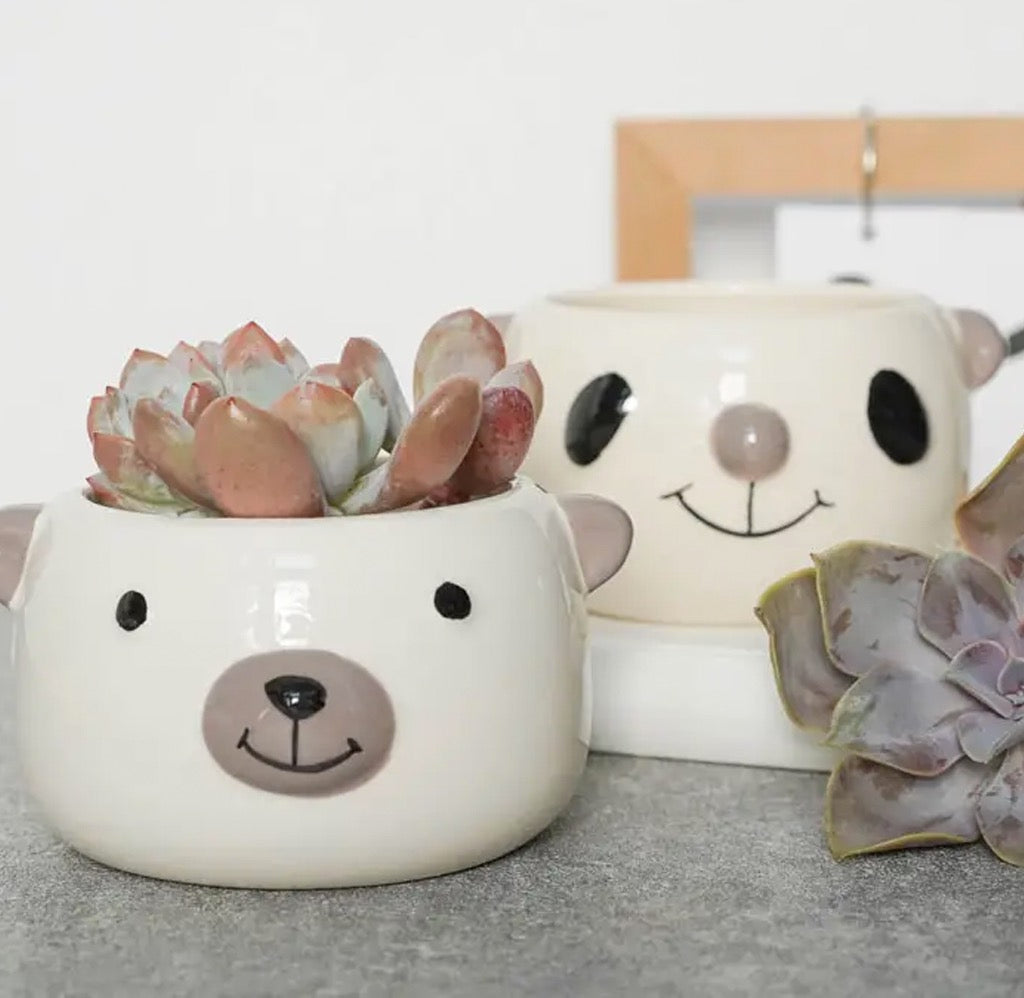 Animal Face Planter Pot on table