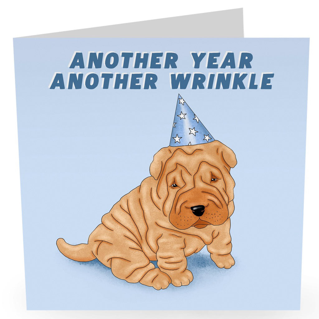 Another Year Another Wrinkle Card