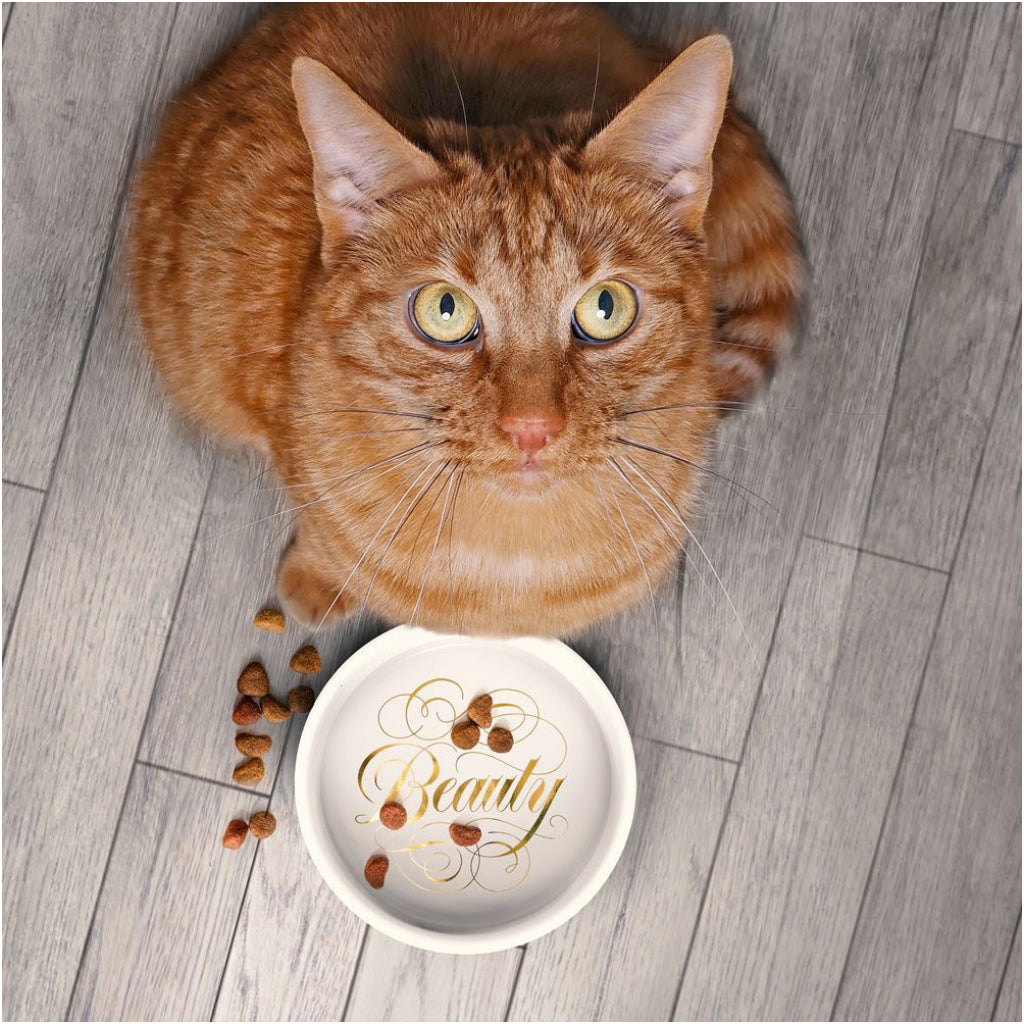 Beauty Queen Ceramic Cat Bowl
