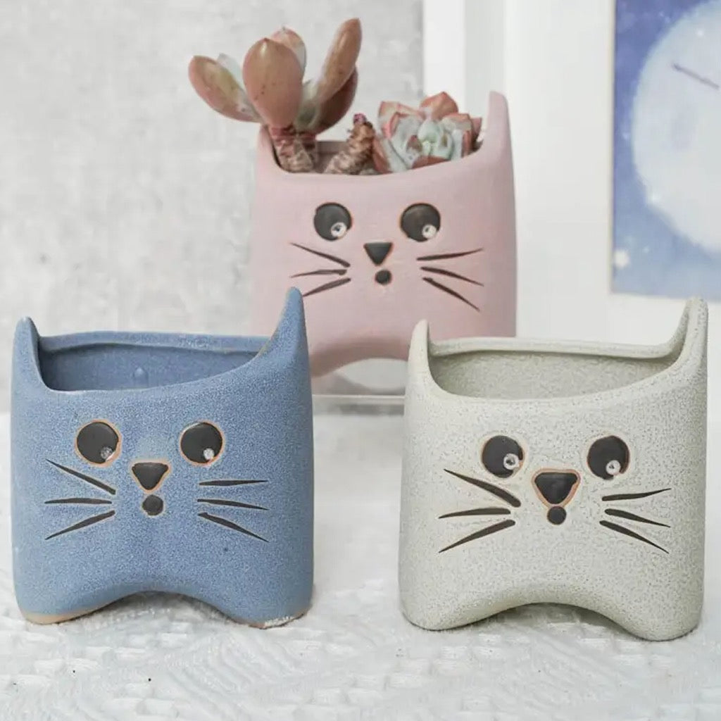 Big Eyed Cat Planter Pot with background