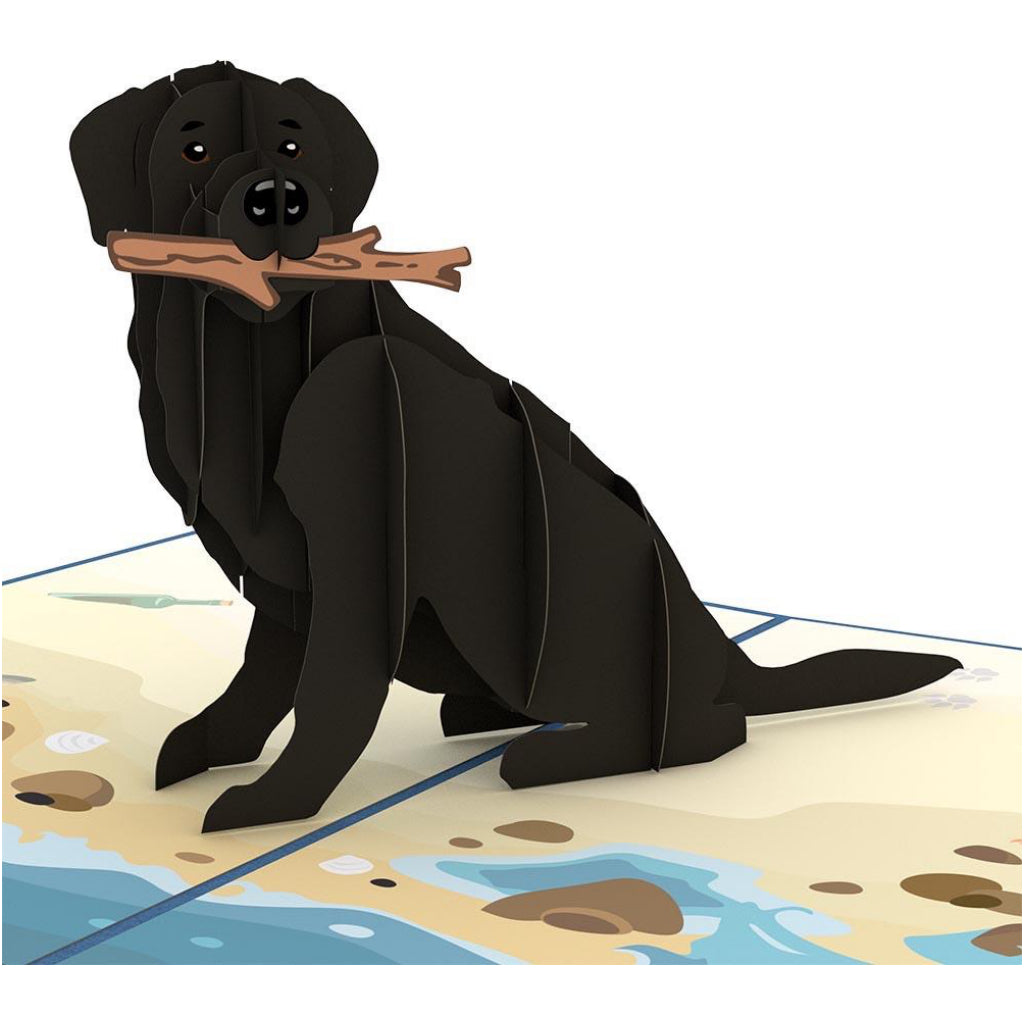 Black Labrador Dog 3D Pop Up Card