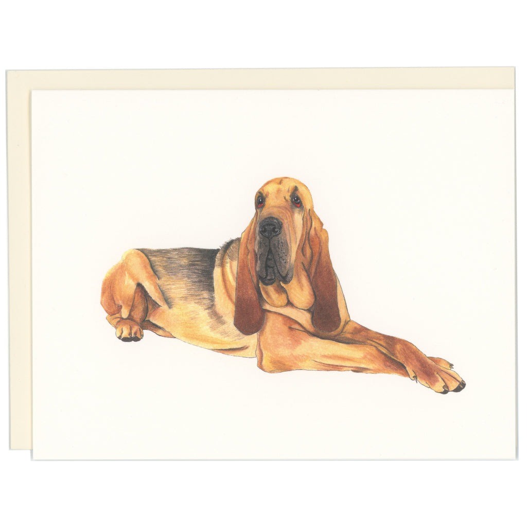 Bloodhound Dog Card