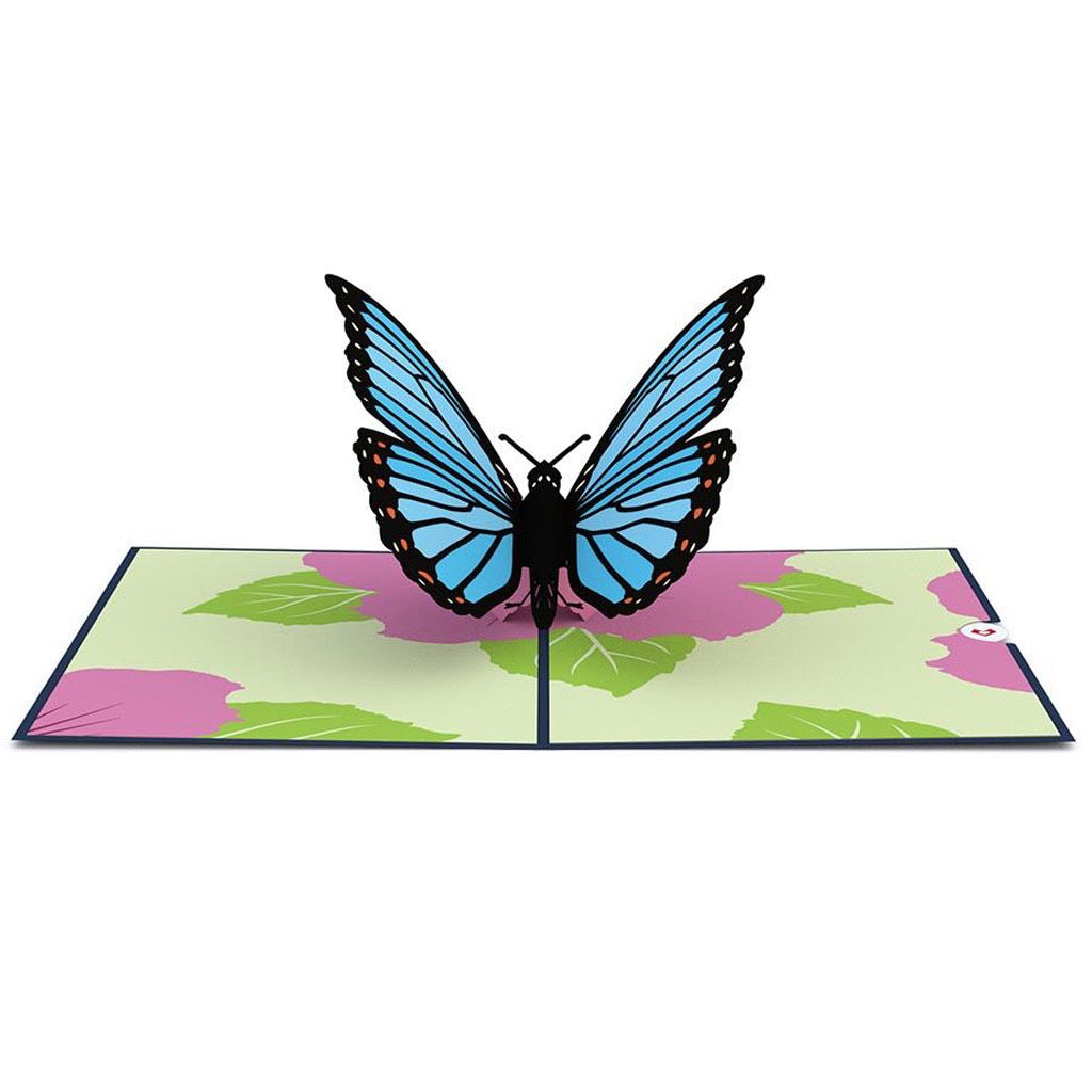 Blue Morpho Butterfly 3D Pop Up Card Open