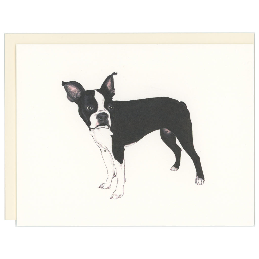 Boston Terrier Dog Card