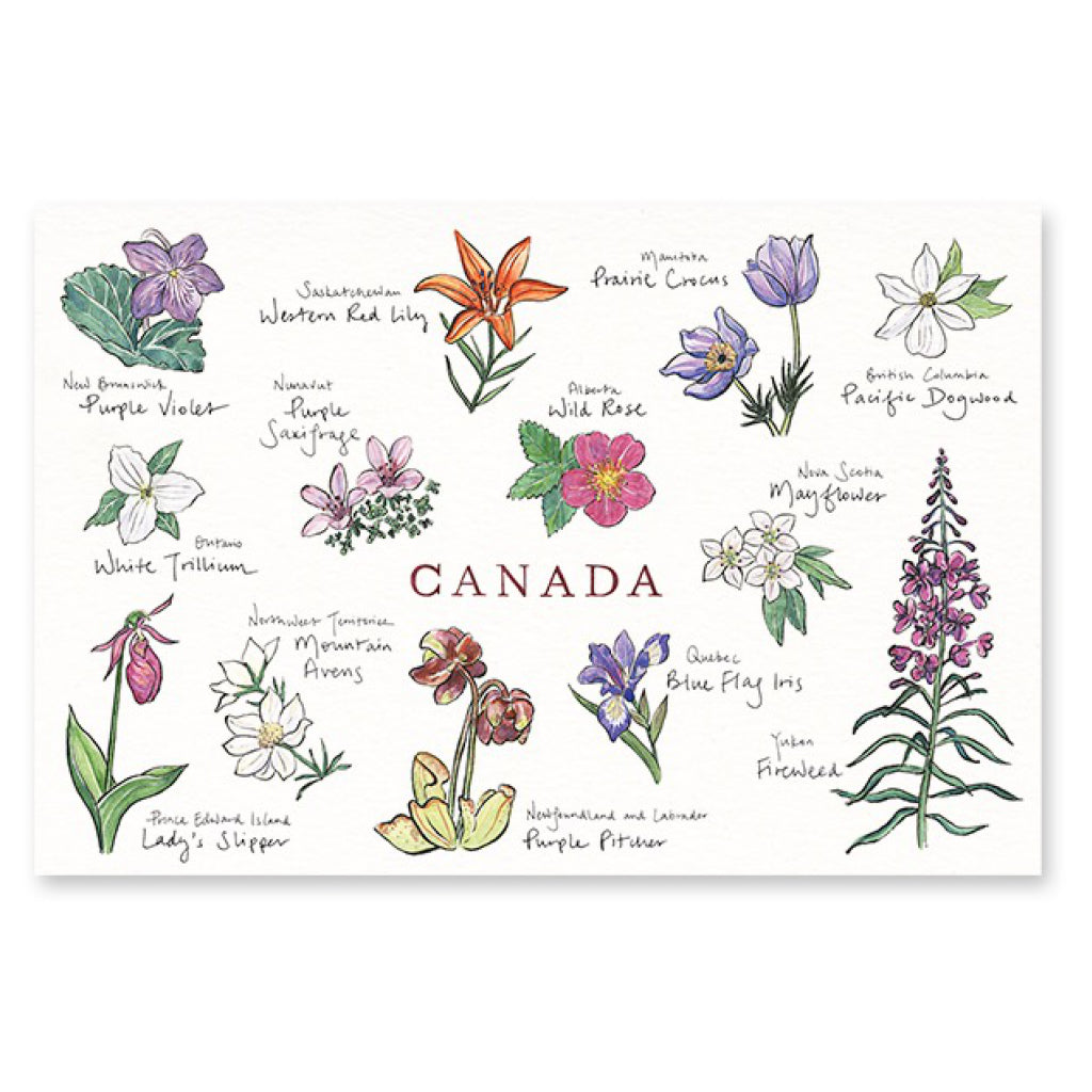 Canadian Style Emblems Canadian Floral Emblems Postcard – Outer Layer