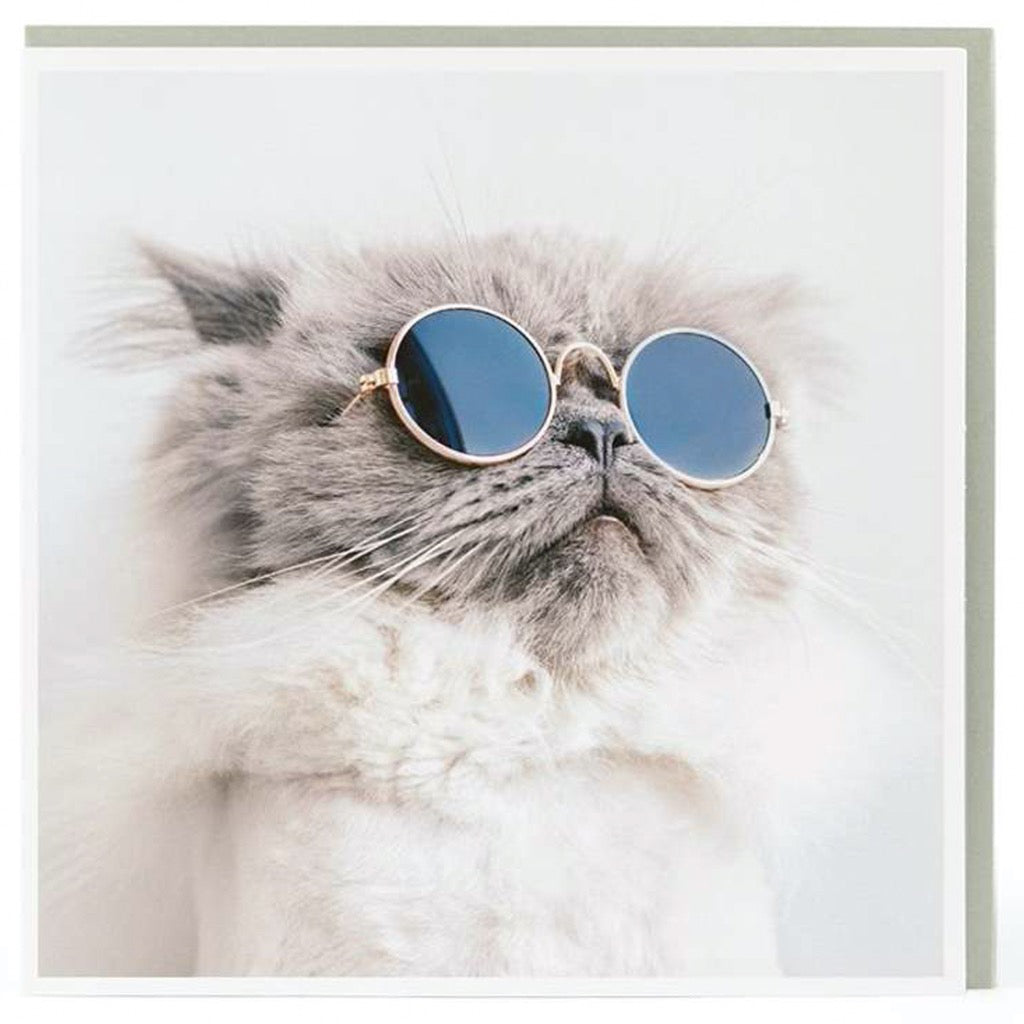 Cat Wearing Sunglasses Card