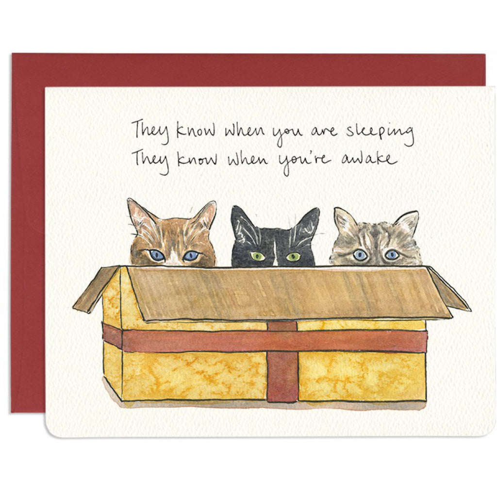 Cats In A Box Holiday Card