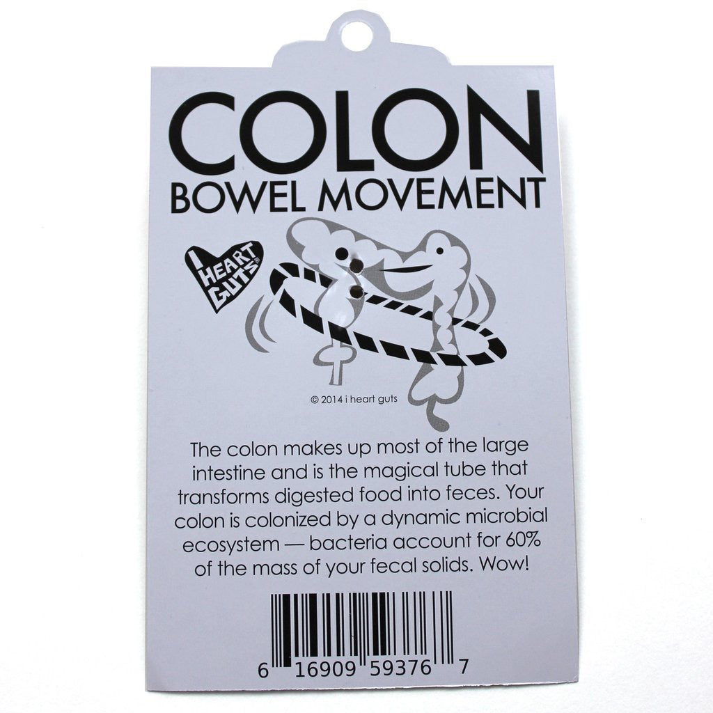 Colon Key Chain Description