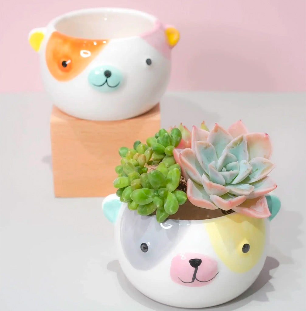 Colourful Animal Face Planter Pot with plant