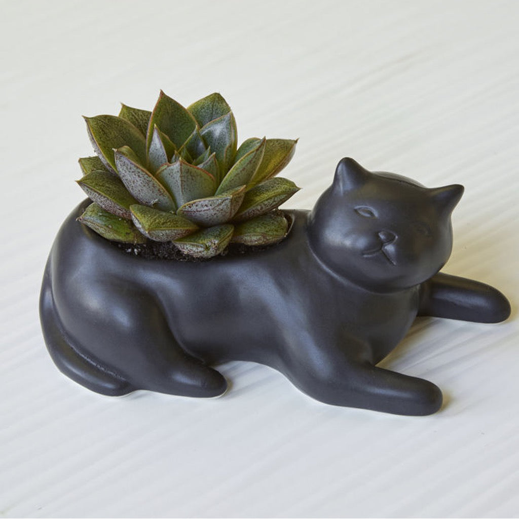 Cosmo The Black Cat Planter In Use