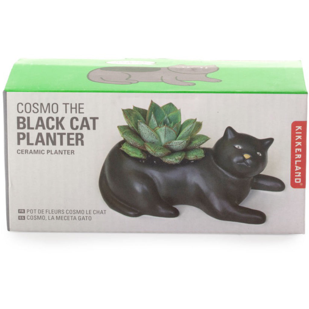 Cosmo The Black Cat Planter Packaged