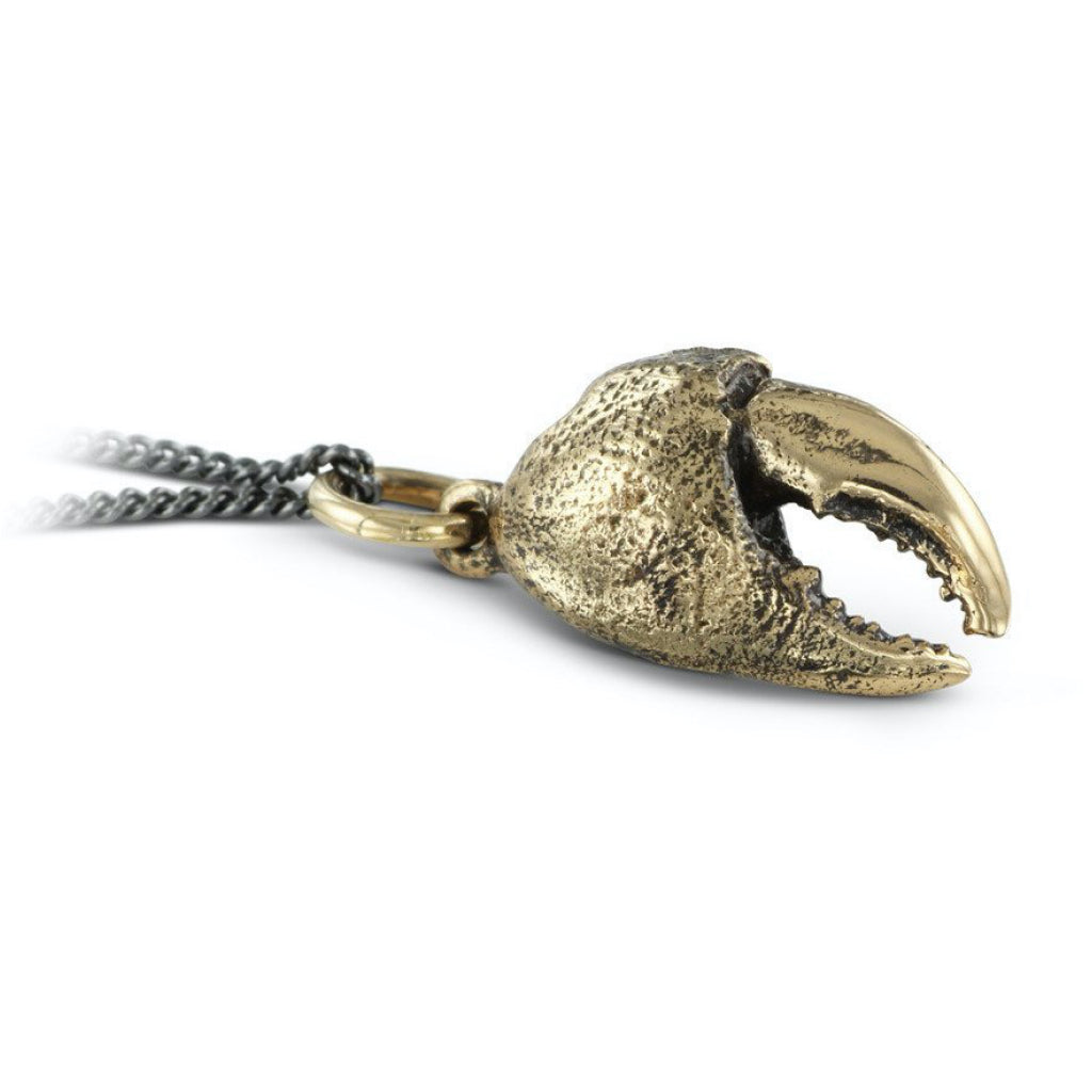 Crab Claw Necklace Bronze Closeup